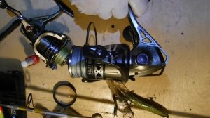 Про катушки Акула