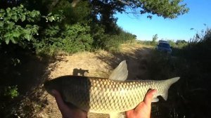 Рыбалка с Ночёвкой Ловля на Тигровый Орех