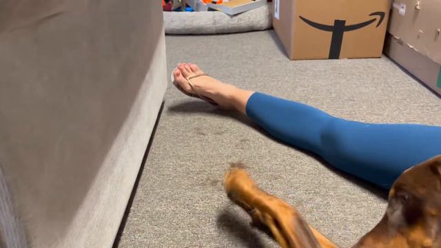 Full Review of SleekEZ Deshedding Grooming Tool for Dogs, Cats & Horses (Amazon Link in Comments) смотреть онлайн