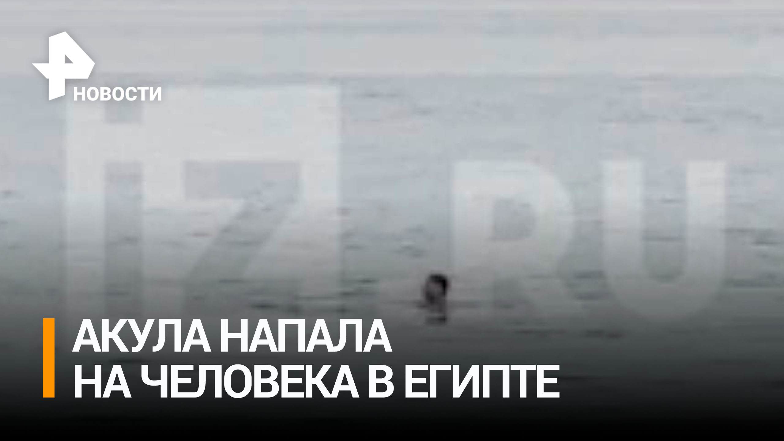 "Произошло за секунду": акула напала на российского туриста в Хургаде / РЕН Новости