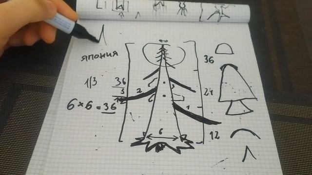 Стили бонсай - Чоккан. Как вырастить бонсай в формальном вертикальном стиле? Chokkan bonsai style