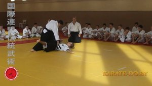 Нидзюсихо. Элементы ката и бункай