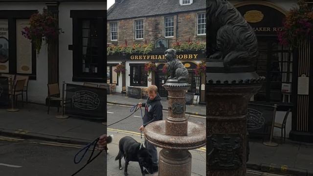 elliott at greyfriars bobby statue 2020 edinburgh