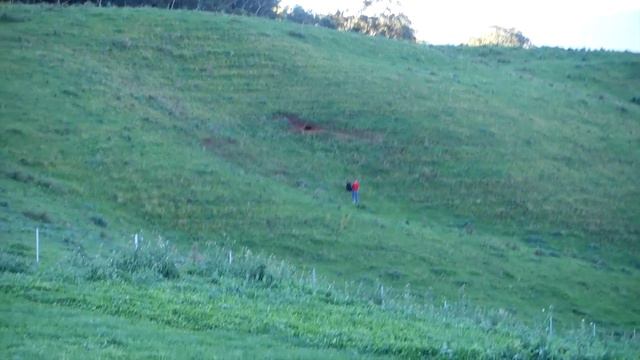 Amazing Archery + Fudgemuppet + Loserfruit + Chinglishtv + Wyld + Morrowind = Elder Scrolls Escape смотреть онлайн