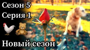 Новый сезон видео блога «1% Удачи» объявляю открытым!