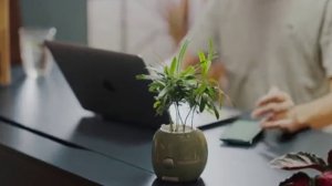 умный гаршок