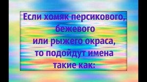 Как назвать хомяка   Клички имена для хомяка   СИРИЙСКИЙ ДЖУНГАРСКИЙ ХОМЯК УХОД И СОДЕРЖАНИЕ