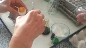 Уроки вирусологии. Заражение куриного эмбриона.