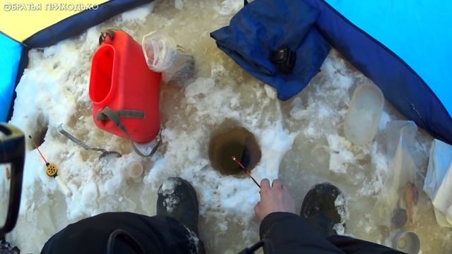 ЕРШИ / ПЛОТВА / НАЛИМЫ / СНИМАЕМ ПРОДОЛЬНИКИ смотреть онлайн