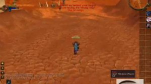 world of warcraft Rogue lvl 70 pvp        private server