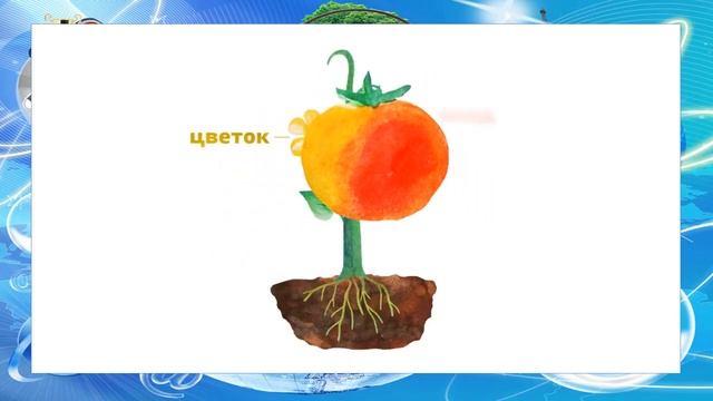 Естествознание тема "растения и части растений" смотреть онлайн