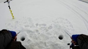 Ловля СУДАКА на блесну со льда. Зимняя рыбалка на судака в глухозимье. Первая рыбалка с мультом.