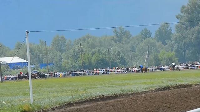 Сабантуй. Конно-спортивные состязания.