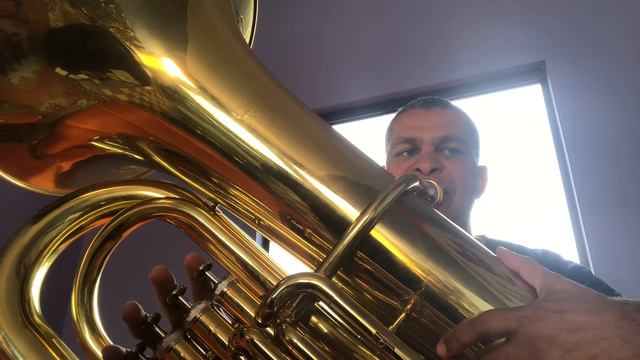 CASA DAS TUBAS TUBA J981 WERIL смотреть онлайн