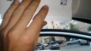 Очечник для Весты.