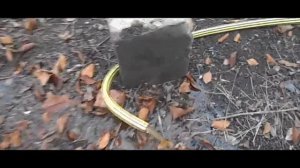 12 Соток _Виноградник