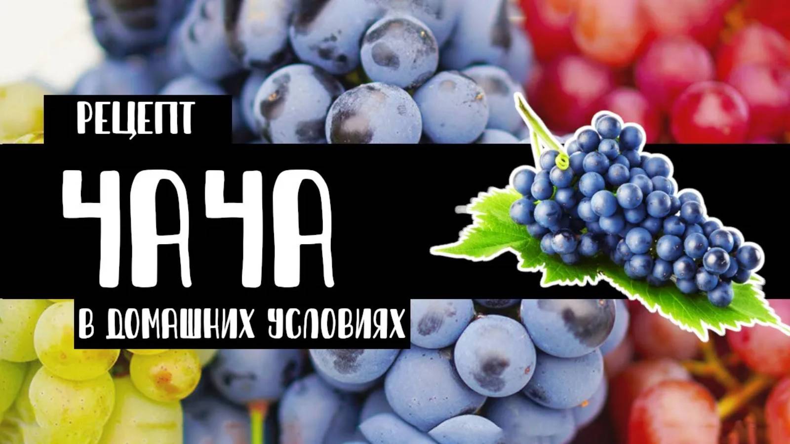 Чача в домашних условиях. Как приготовить? Рецепт