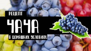 Чача в домашних условиях. Как приготовить? Рецепт