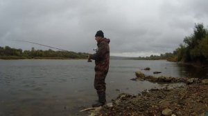 ХОДОВАЯ ДОНКА снова выручает. Отводной на ЖИВЦА. Рыбалка на ОКЕ в октябре.