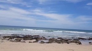 Путешествие по ЮАР. Порт-Элизабет и возвращение домой.