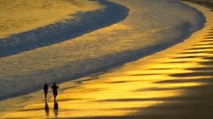 ОСЕНЬ ПРИШЛА В МОСКВУ