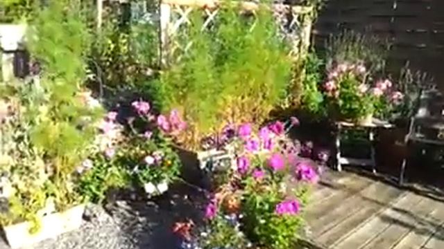 MAISON DES FLEURS - LIVECITY.GR смотреть онлайн