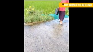 9 коротких сюжетов: необычная рыбалка во Вьетнаме