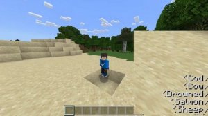 CARA MEMUNCULKAN FITUR SUBTITLE DI MCPE/BEDROCK!! WORK 100%