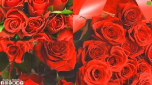 Успокаивающая музыка для нервов?Лечебная Музыка для Снятия Стресса!Лучшие композиции Сергея Грищука