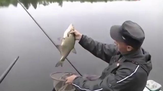 Секреты трудных водоемов 5  Лещ на штекер