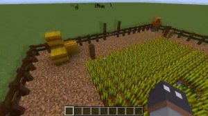 Minecraft, Quick Tip:  Farming & Water Source Blocks