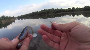 Открытие сезона 2015. Судак на Pontoon 21 Awaruna.