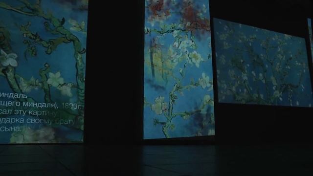 Благовещенцам показали ожившие оригиналы произведений Винсента Ван Гога