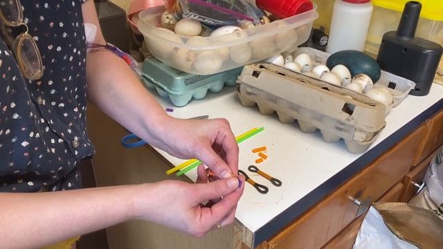 Splay Leg Treatment in Chickens смотреть онлайн