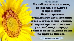 Исповедь сестры во Христе Иисусе, Аники. Филип. 4-6. Не заботьтесь ни о чем, но всегда в молитве...