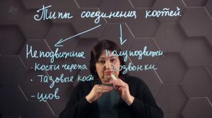 Типы соединения костей. 8 класс.