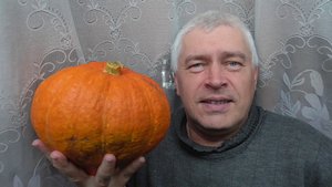 У меня оранжевая тыква. Я рассказываю про тыкву