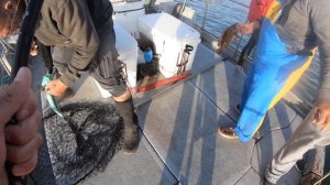 Fishing under Golden Gate Bridge. Океанская рыбалка под мостом Золотые ворота