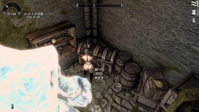 最高難易度の世界を魔法のみで楽しむスカイリム　その10(PC版＋modあり)[The Elder Scrolls V Skyrim]