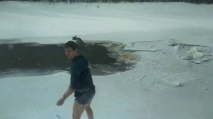 Спасение утопающей косули в Красноярске!