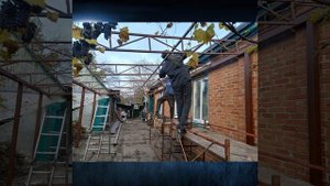 Навес во двор, проектирование и монтаж #навес #навесы