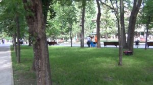 Парк Горького Казань. Gorky Park Kazan.