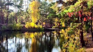 Челябинск. Природа южного Урала. Листья желтые.  Изумительная мелодия золотой осени. 05.10.2021г.