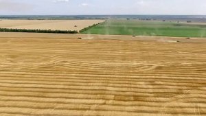 Алексеевский район 90 летие