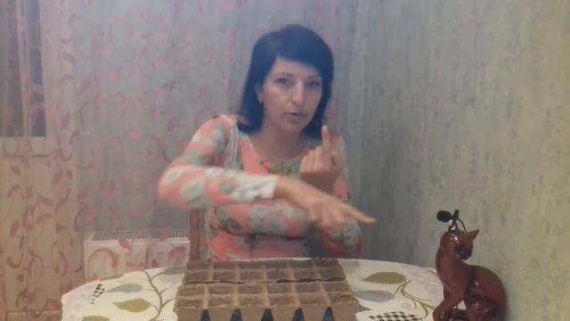 торф.кассеты - ДА или НЕТ ??? смотреть онлайн