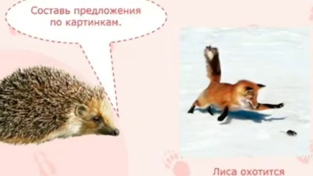 НОД Развитие речи в старше подготовительной группе. Дикие животные(2) смотреть онлайн