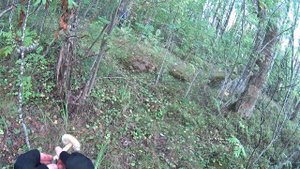 Рыбалка, плавно переходящая в сбор грибов