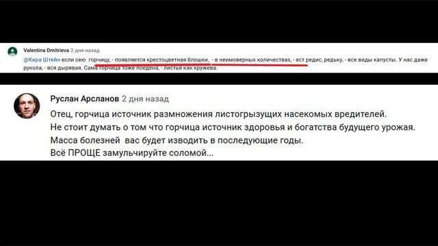 СИДЕРАТЫ. ОСОБЕННОСТИ использования. Какие СИДЕРАТЫ ЛУЧШЕ?