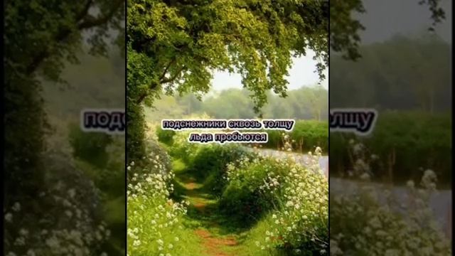 Живи спокойно и легко! Стихотерапия  с  Ариной