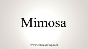 How To Say Mimosa